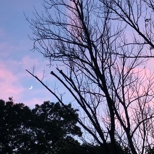 Meet your Posher, Satrina